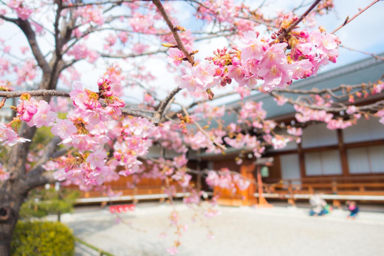 Stay Sakura Kyoto Shijo Karasuma Exteriér fotografie