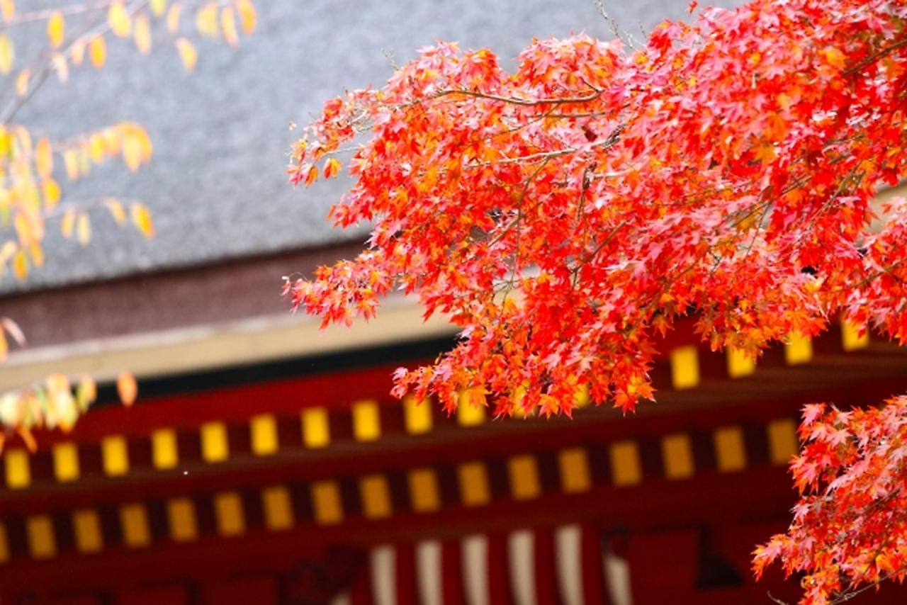 Stay Sakura Kyoto Shijo Karasuma Exteriér fotografie